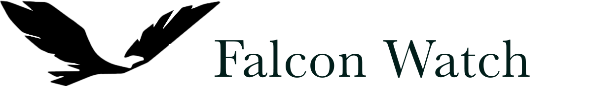 Falcon Watch - Protect what is most important